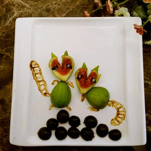 無(wú)花果小浣熊