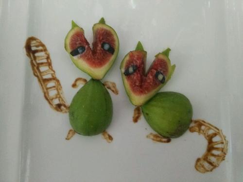 無(wú)花果小浣熊