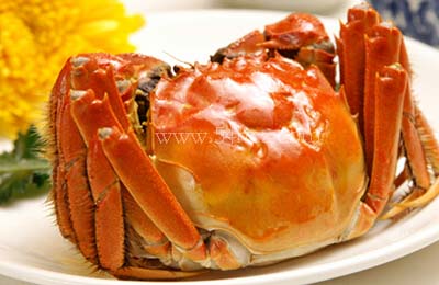 清蒸大閘蟹是哪個地方的菜2