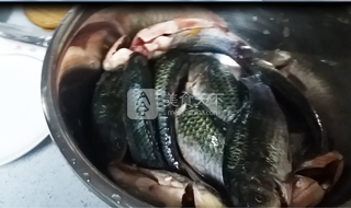 京津名吃、家鄉(xiāng)回憶--紅燜鯽魚的做法步驟：1