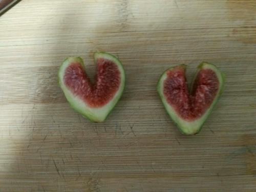 無(wú)花果小浣熊