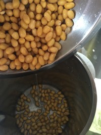 蘋果香蕉豆?jié){的做法步驟3