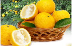 柚子可以榨汁嗎 柚子和什么榨汁好喝