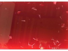 清涼楊梅凍的做法