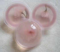 【櫻花果凍的做法】櫻花果凍的價(jià)格_櫻花果凍的注意事項(xiàng)