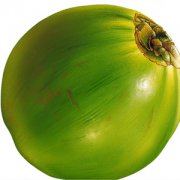 【椰子的營養(yǎng)價值】椰子怎么打開_椰子的功效與作用