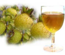 【刺梨酒的功效】刺梨酒的做法_刺梨酒的價(jià)格