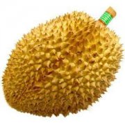 【榴蓮的保存方法】榴蓮怎么吃_榴蓮的營(yíng)養(yǎng)價(jià)值