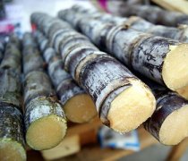 【甘蔗制糖】怎么用甘蔗制糖_甘蔗制糖吃多好嗎