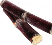 【甘蔗是什么季節(jié)的】甘蔗是哪里的特產_吃甘蔗會胖嗎