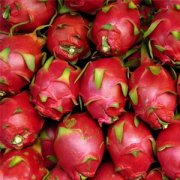 【火龍果的壞處】火龍果的功效與作用_火龍果怎么吃