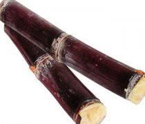 【甘蔗是水果嗎】甘蔗的熱量_甘蔗的營養(yǎng)價值