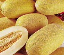 【哈密瓜怎么切】哈密瓜的種類_吃哈密瓜會上火嗎