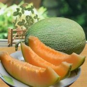 【哈密瓜怎么榨汁】哈密瓜榨汁喝的好處_哈密瓜榨汁的營養(yǎng)價值