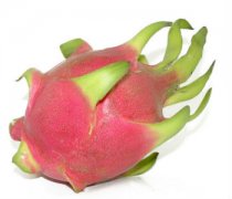 【火龍果的功效與禁忌】火龍果的營(yíng)養(yǎng)價(jià)值_火龍果怎么挑選