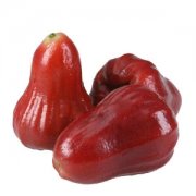 【蓮霧的營養(yǎng)價值】蓮霧的功效與