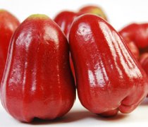 【蓮霧的功效與作用】蓮霧的營養(yǎng)