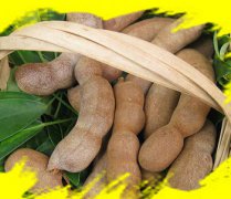 【干人參果怎么吃】干人參果的功效與作用