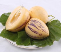 【人參果的功效與作用】人參果的營養(yǎng)價值_人參果的吃法