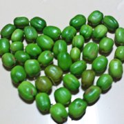 【圓棗子的營養(yǎng)價值】圓棗子是什么_圓棗子怎么吃