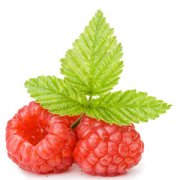 【桑葚的功效與作用】桑葚有哪些營養(yǎng)價(jià)值_吃桑葚有哪些注意事項(xiàng)