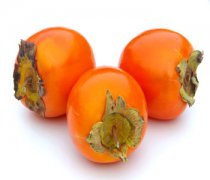 【柿子吃多了會(huì)胖嗎】柿子怎么保存_柿子不能和什么一起吃