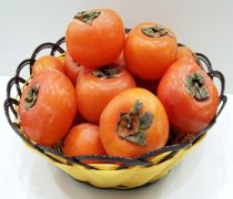 【柿子吃多了會(huì)上火嗎】柿子和牛奶能一起吃_柿子和酸奶能一起吃嗎