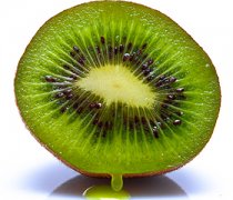 【獼猴桃不能和什么一起吃】獼猴桃是熱帶水果嗎_獼猴桃怎么吃減肥