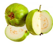 【番石榴的營養(yǎng)價(jià)值】番石榴的功效與作用_番石榴怎么吃