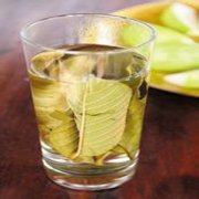 【番石榴葉的功效與作用】番石榴葉的藥用價(jià)值_番石榴葉的用法用量