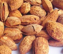 【杏仁有毒嗎】苦杏仁的營(yíng)養(yǎng)價(jià)值_苦杏仁的功效與作用