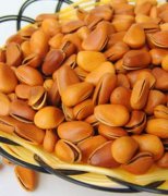 【松仁的營養(yǎng)價值】松仁的功效與