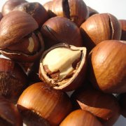 【野生榛子】野生榛子怎么吃_野生榛子的營養(yǎng)價值