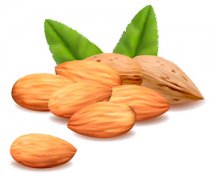 【大杏仁】大杏仁是什么_大杏仁的營(yíng)養(yǎng)價(jià)值