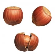 【榛子的熱量】榛子有營養(yǎng)嗎_哪些人適合吃榛子