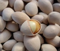 【銀杏果的功效與作用】銀杏果怎么吃_銀杏果怎么去皮