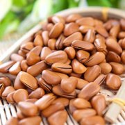 【松子的功效與作用】松子的營(yíng)養(yǎng)價(jià)值