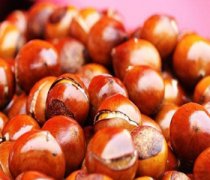 【板栗的營(yíng)養(yǎng)價(jià)值】板栗的功效作用_板栗怎么做好吃