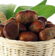 【板栗的藥用價(jià)值】板栗的藥用小偏方_板栗補(bǔ)腎嗎