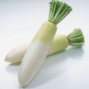 【白蘿卜的功效】白蘿卜的功效與作用_白蘿卜的營養(yǎng)價值
