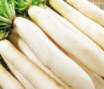 【白蘿卜治咽炎】白蘿卜治咽炎方法