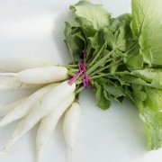 【白蘿卜的營養(yǎng)價值】白蘿卜的藥用價值_白蘿卜的適用人群