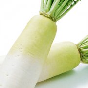 【白蘿卜藥用價值】白蘿卜的營養(yǎng)價值_白蘿卜的做法