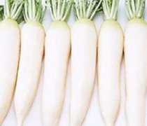 【腌白蘿卜的做法大全】腌白蘿卜的好處_腌白蘿卜的營養(yǎng)價值