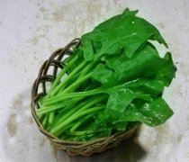 【涼拌菠菜?！繘霭璨げ斯５淖龇╛涼拌菠菜梗的營養(yǎng)價(jià)值