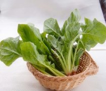 【炒菠菜的做法】炒菠菜要焯水嗎_炒菠菜能放醋嗎_炒菠菜的營養(yǎng)價(jià)值