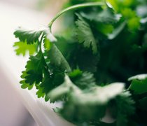 【芹菜葉子的功效】芹菜葉子能吃嗎_芹菜葉子怎么做好吃_芹菜葉子的做
