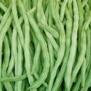 【四季豆中毒】四季豆中毒癥狀_四季豆中毒原因_四季豆中毒怎么辦