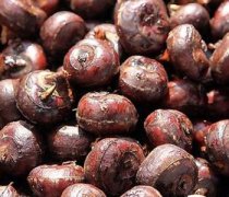 荸薺的那些營養(yǎng)價(jià)值你知道嗎