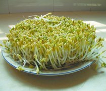 【酸辣綠豆芽的做法】酸辣綠豆芽的營(yíng)養(yǎng)價(jià)值_酸辣綠豆芽的熱量